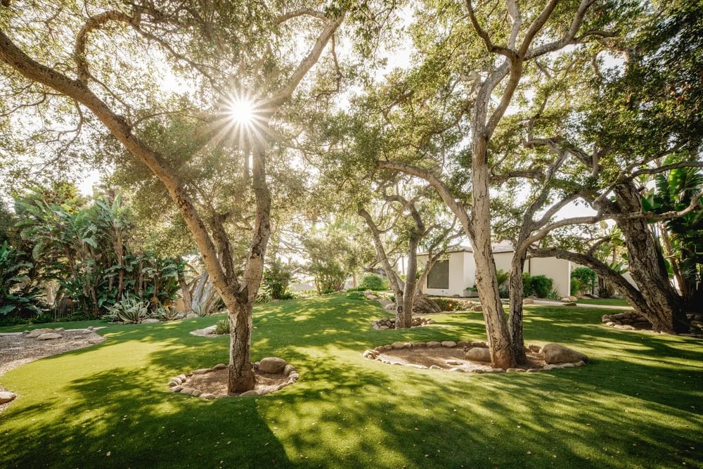 2025 Birnam Wood Drive, property photograph 63