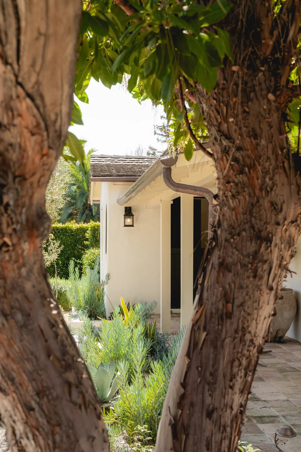 433 Paseo del Descanso, property photograph 8