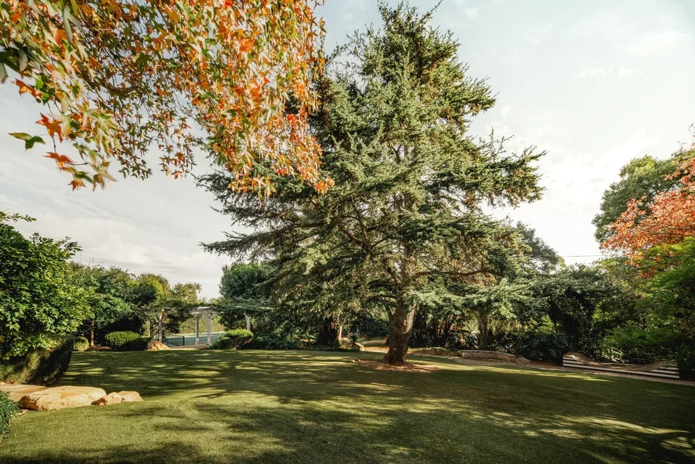 786 Hot Springs Road, property photograph 84